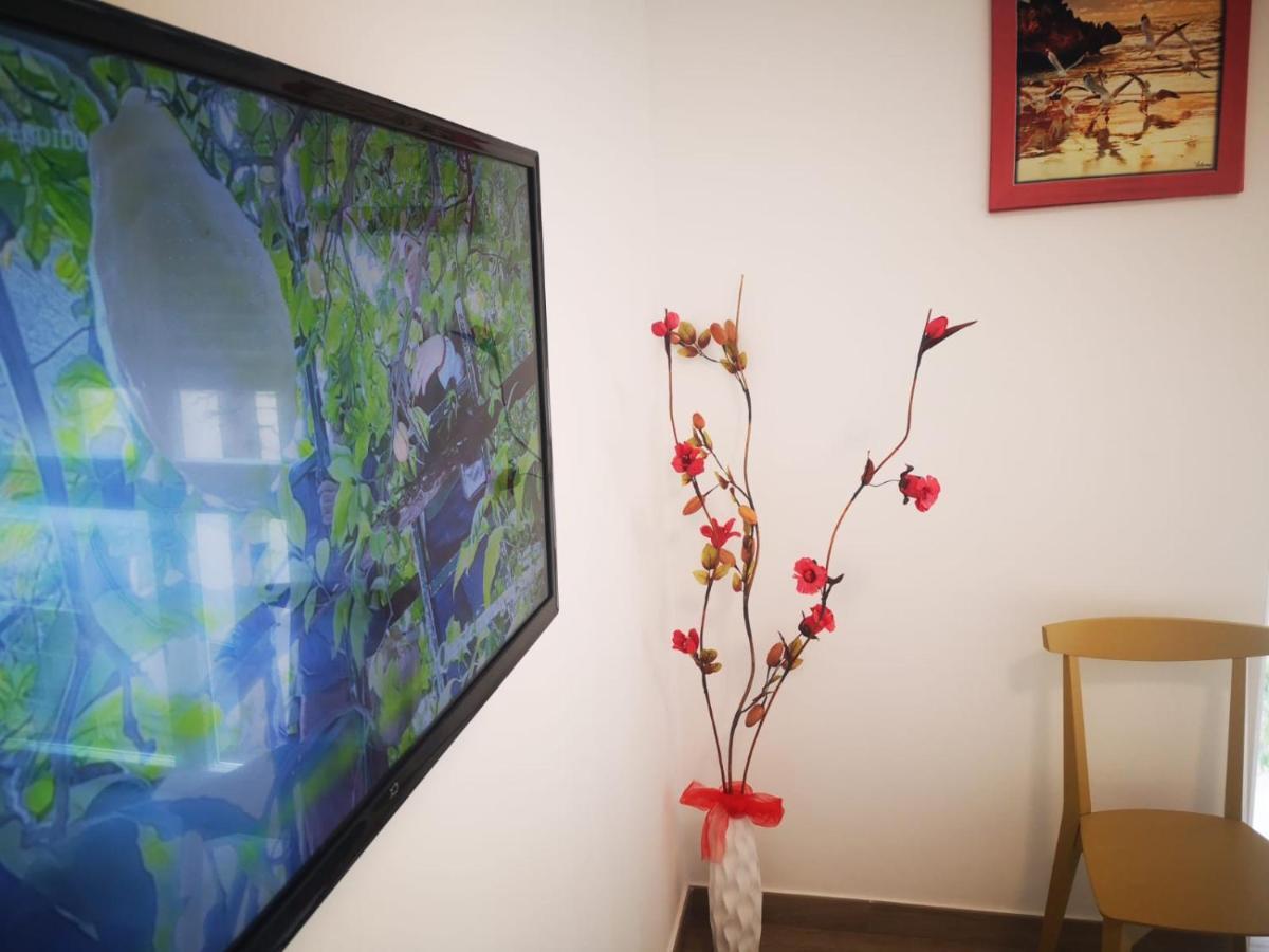 Via Roma Bed & Breakfast LʼAquila Dış mekan fotoğraf